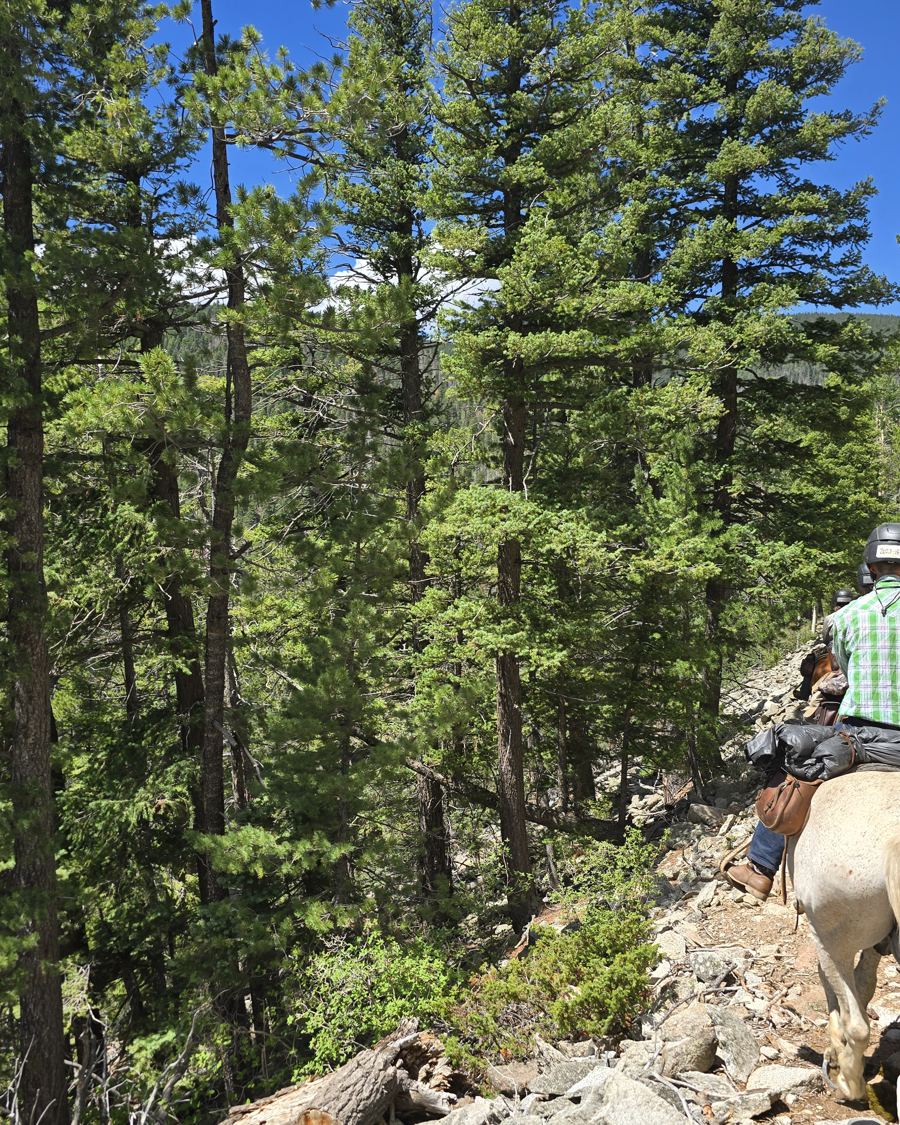 Horseback